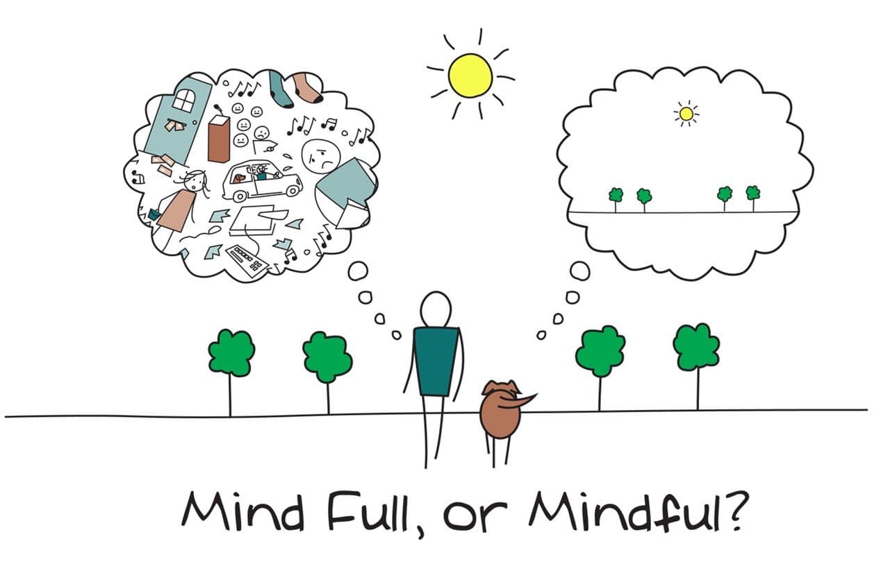 Person and Dog being mindful of their decisions, dog thinking of park